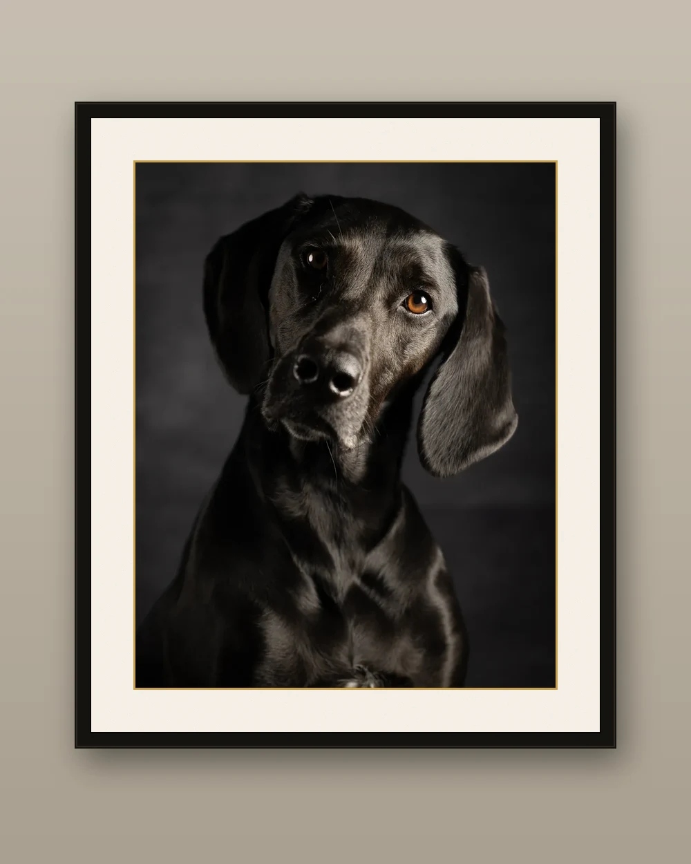 A framed fine art print of a black dog, matted in ivory with a gold line